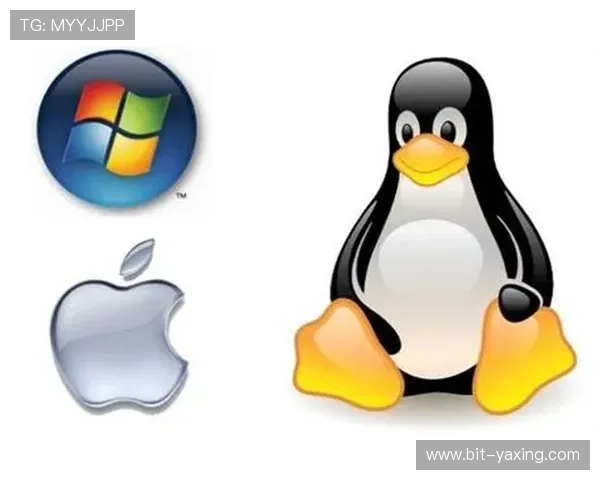 yabo官网客户端下载教程，快速安装步骤全攻略