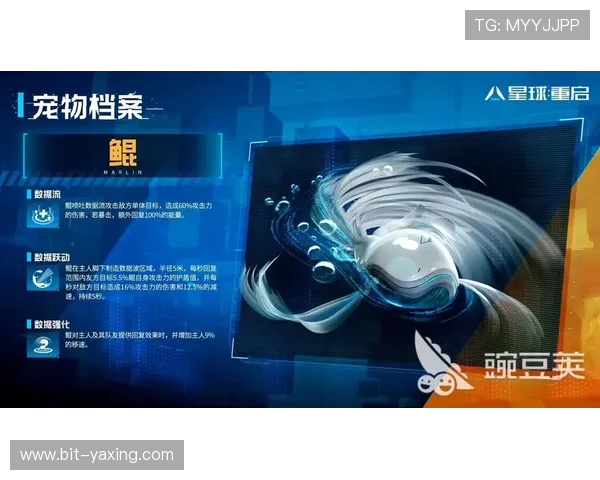 开云官网线上登陆界面详解如何轻松找到登录入口提升使用体验