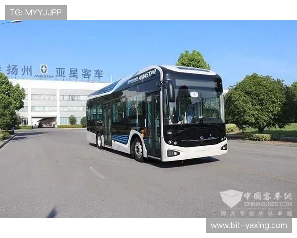 亚星官方手机版最新版本下载方式详解，确保安全快速安装