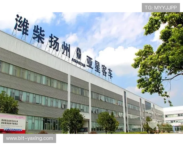 亚星平台官网首页企业简介与历史沿革,深入了解亚星的发展历程 亚星平台官网首页企业简介与历史沿革,深入了解亚星的发展历程