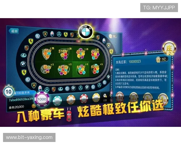 亚星游戏平台是缅甸市场的重要玩家，提供多平台支持满足不同用户的游戏需求