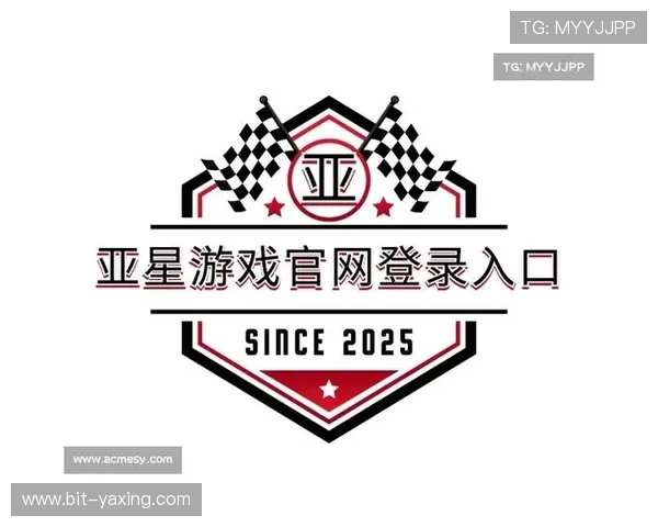 亚星222亚星官网唯一入口的访问流程详解,帮助用户顺利登录平台,享受优质的游戏服务