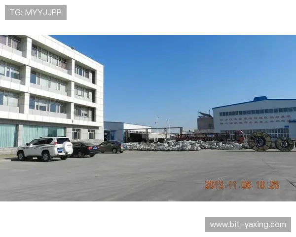 亚星唯一官网提供丰富的产品资料、技术支持与客户案例，满足多样需求