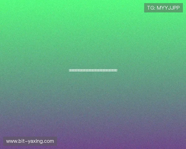 亚星私网的常用工具与软件推荐助力用户高效管理与监控私有网络环境